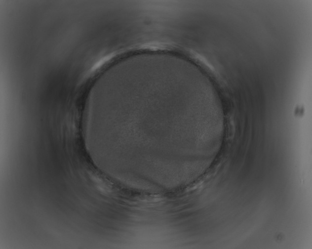 X0000094951158200712131616