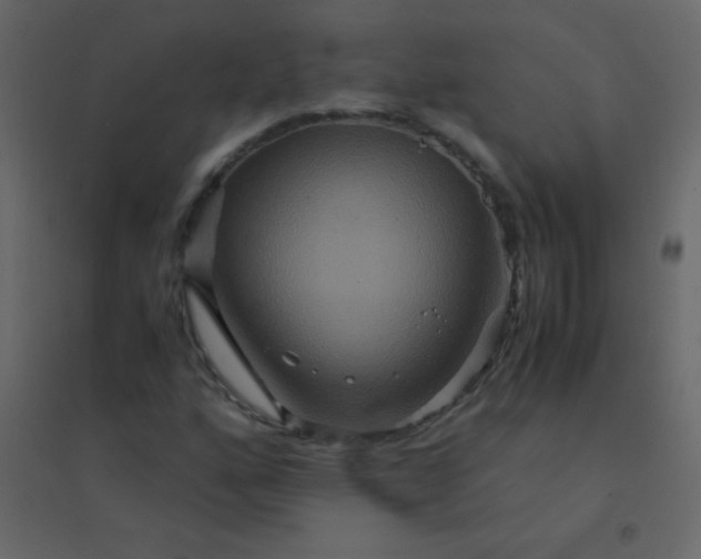 X0000094951160200712131616