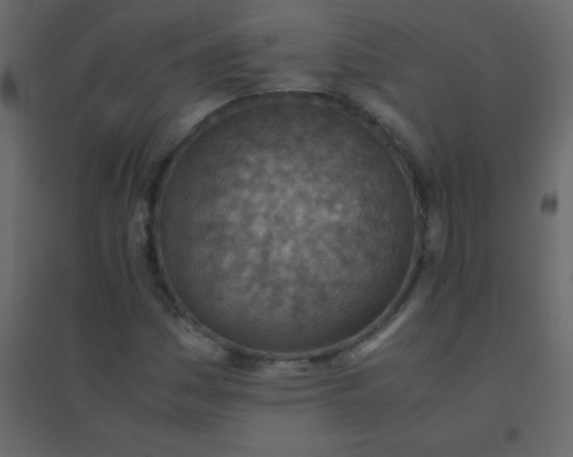 X0000094951161200712131616