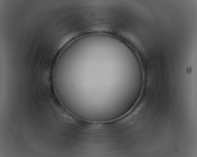 X0000094951162200712131616