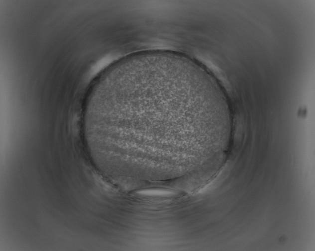 X0000094951163200712131616