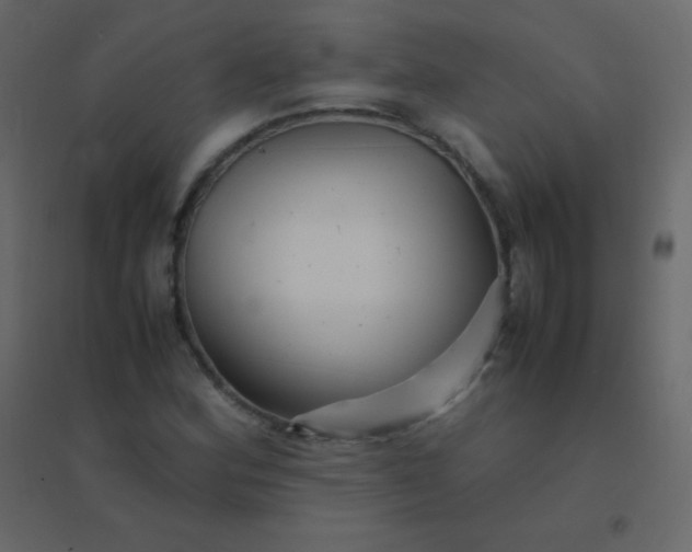 X0000094951164200712131616