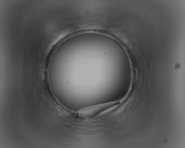 X0000094951165200712131616