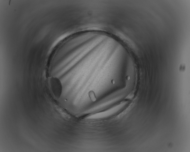 X0000094951166200712131616