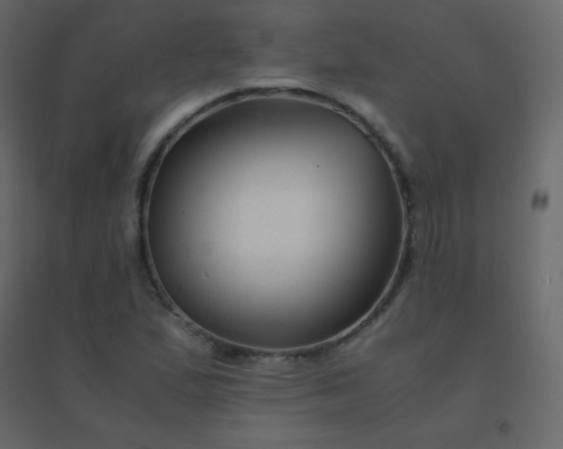 X0000094951167200712131616