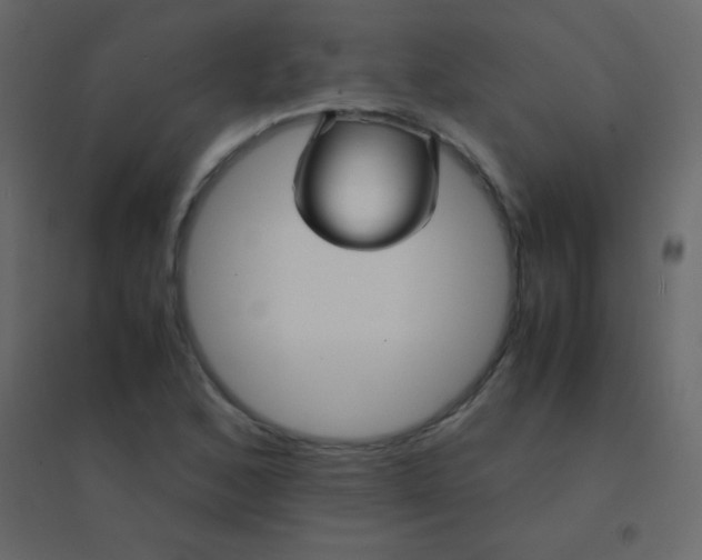 X0000094951168200712131616