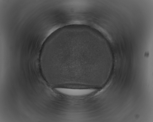 X0000094951170200712131616