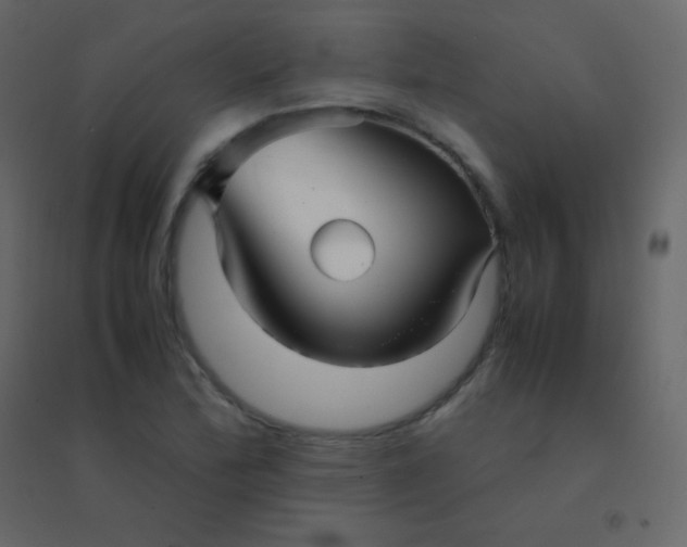 X0000094951172200712131616