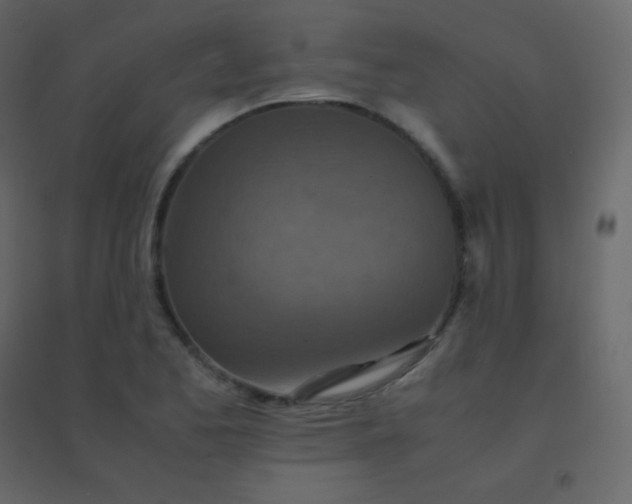 X0000094951173200712131616