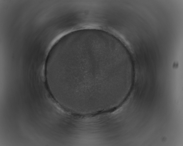 X0000094951174200712131616