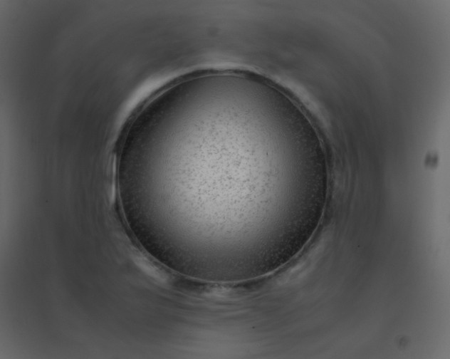 X0000094951175200712131616