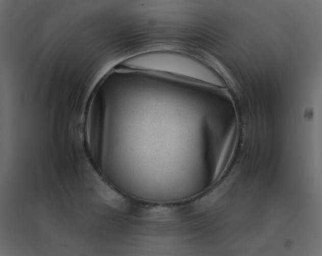 X0000094951178200712131616