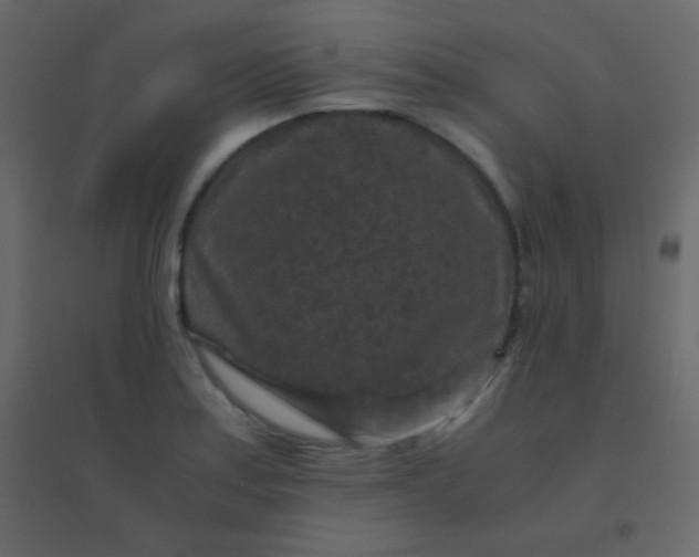 X0000094951179200712131616