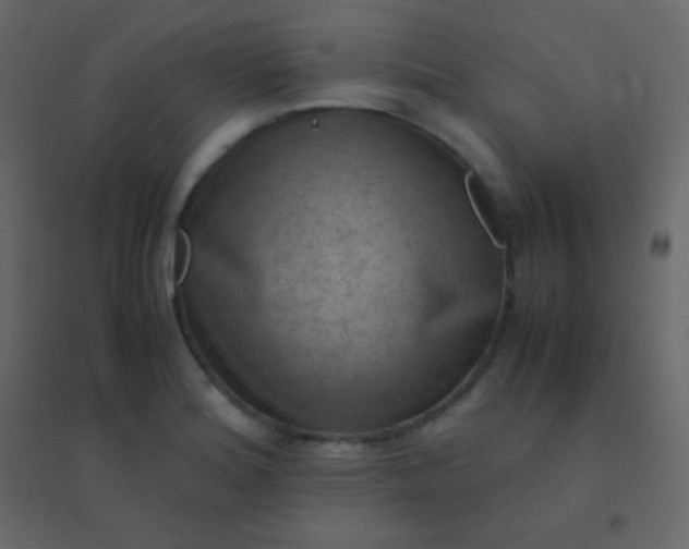 X0000094951180200712131616