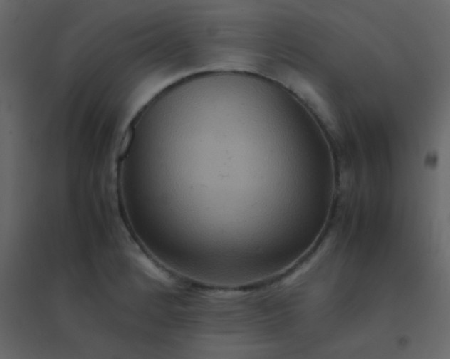 X0000094951184200712131615