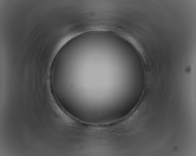 X0000094951187200712131615