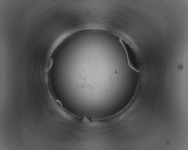 X0000094951188200712131615