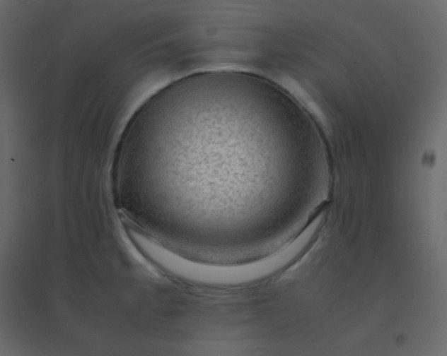 X0000094951189200712131615