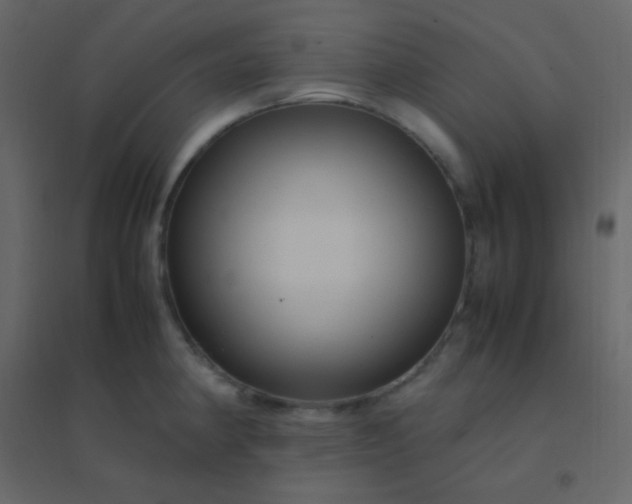 X0000094951190200712131615