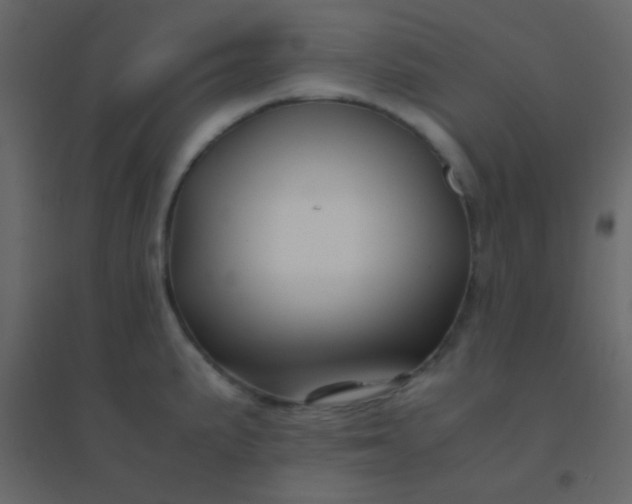 X0000094951191200712131615