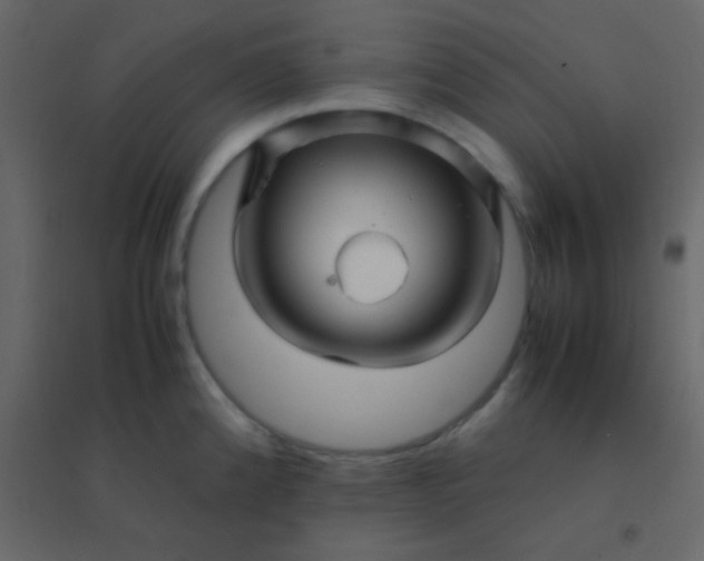 X0000094951192200712131615