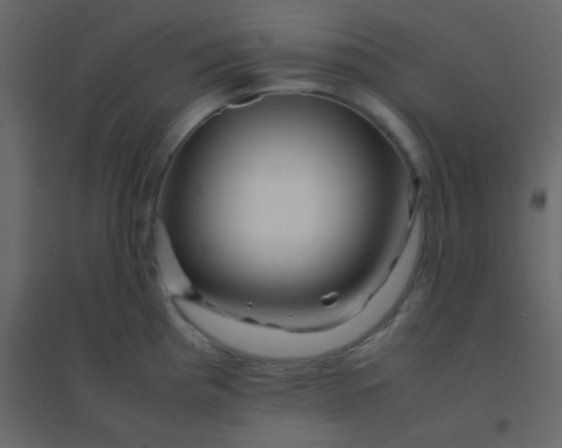 X0000094951193200712131615