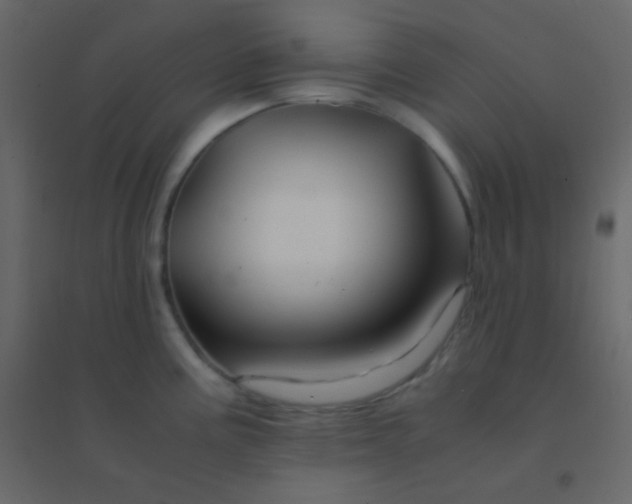 X0000094951195200712131615