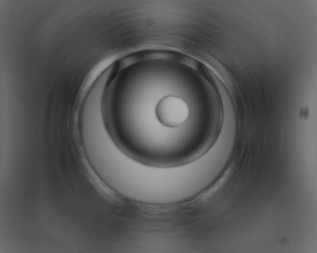 X0000094951196200712131615