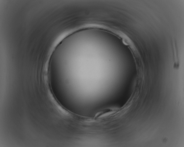 X0000094951199200712131615