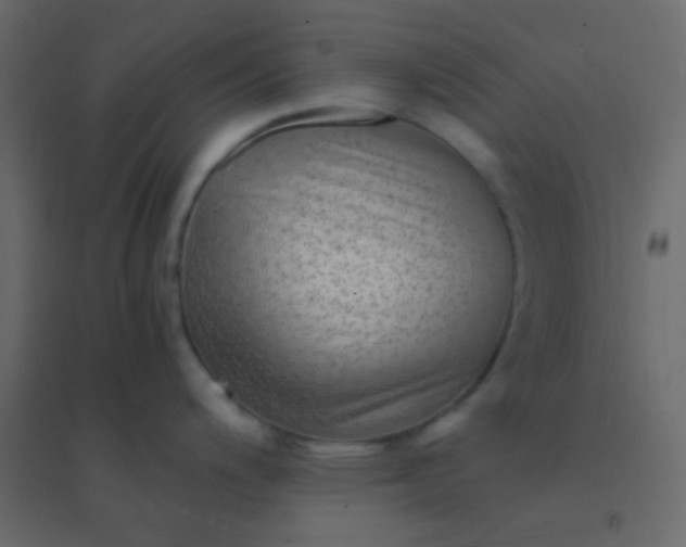 X0000094951200200712131615