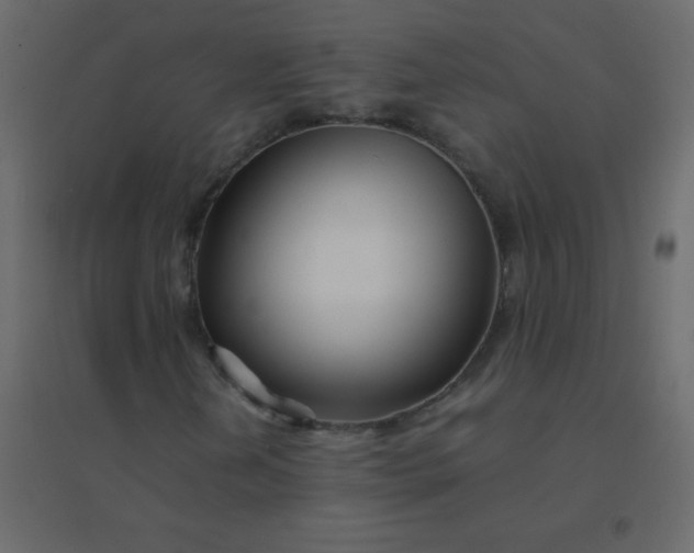 X0000094951202200712131615