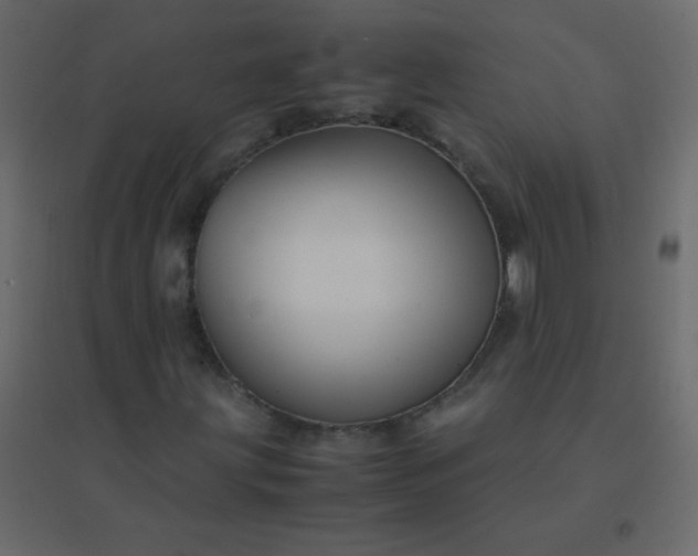 X0000094951203200712131615