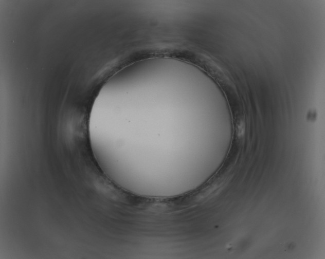 X0000094951204200712131615