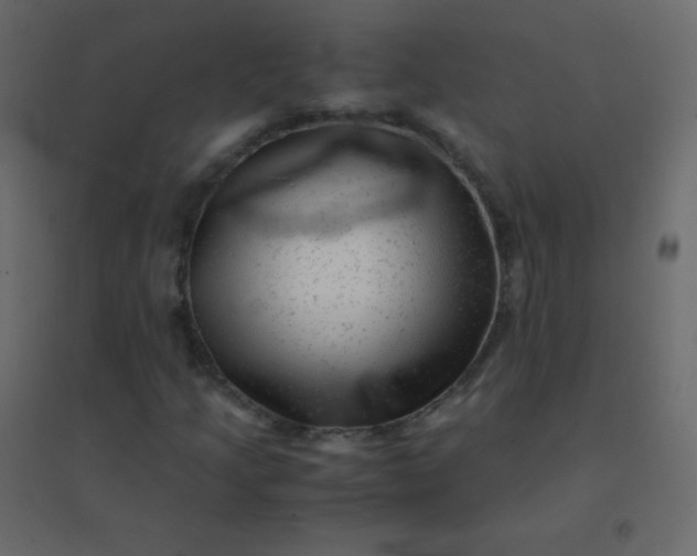 X0000094951205200712131615