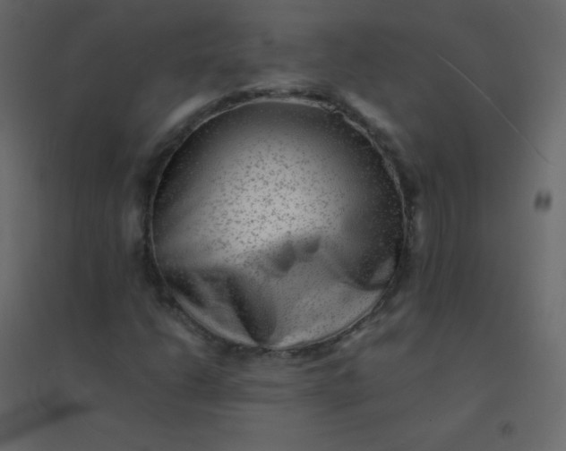 X0000094951206200712131615