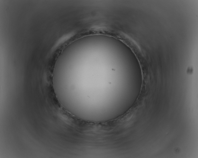 X0000094951207200712131615