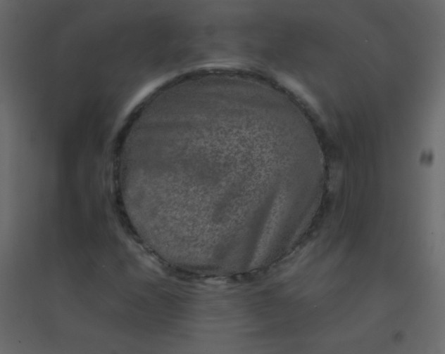 X0000094951208200712131615