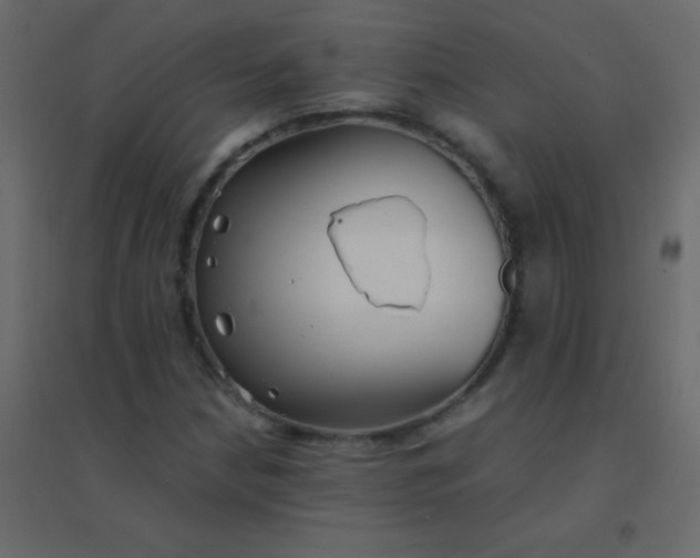 X0000094951210200712131615