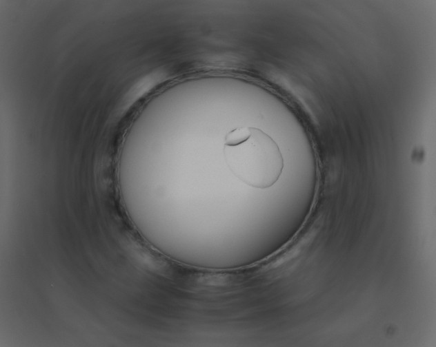 X0000094951211200712131615