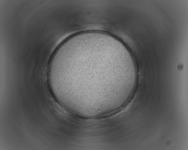 X0000094951212200712131615