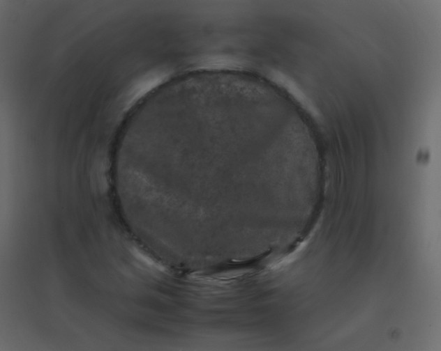 X0000094951213200712131615