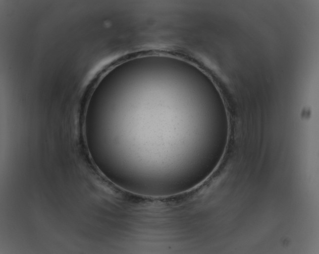 X0000094951214200712131615