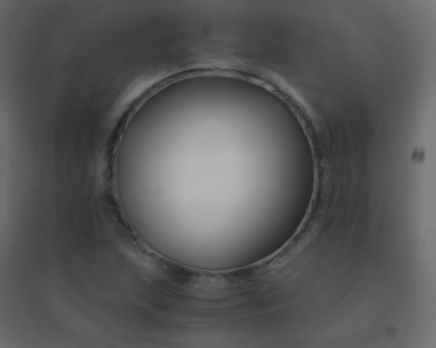 X0000094951215200712131615