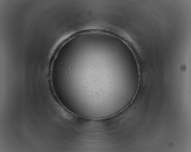 X0000094951216200712131615