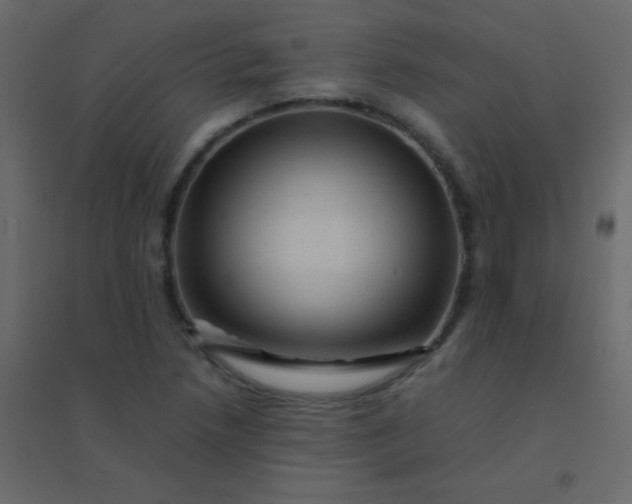 X0000094951218200712131615