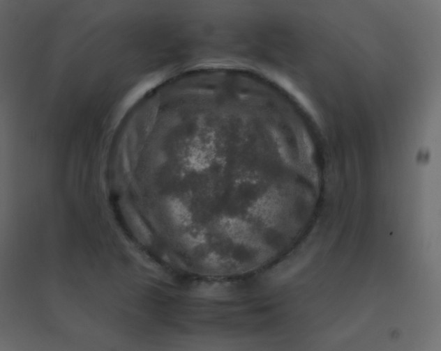 X0000094951221200712131615