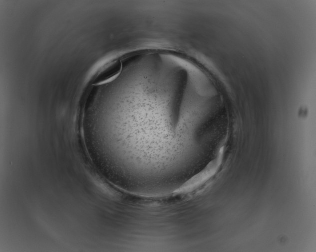 X0000094951222200712131615