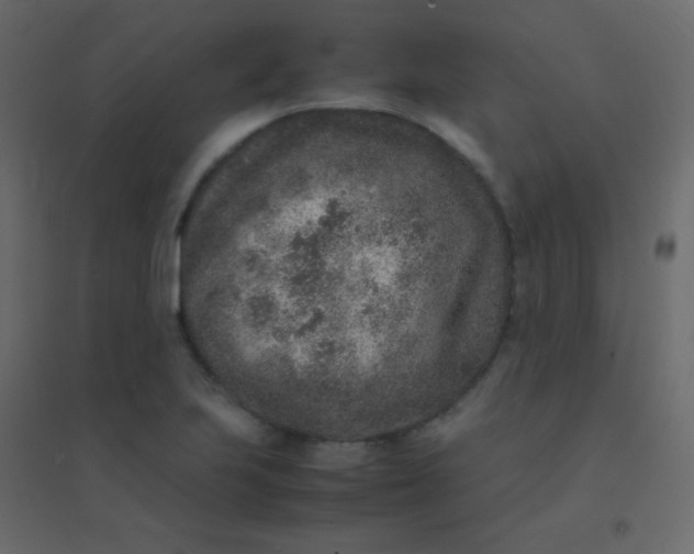 X0000094951223200712131615