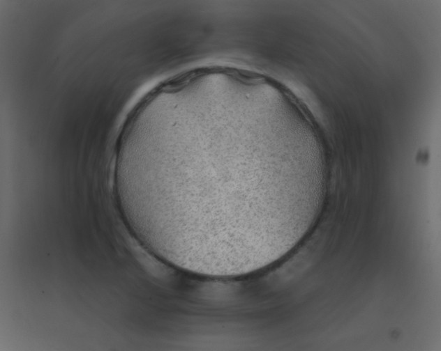 X0000094951224200712131615