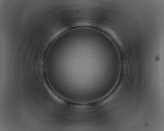 X0000094951225200712131615